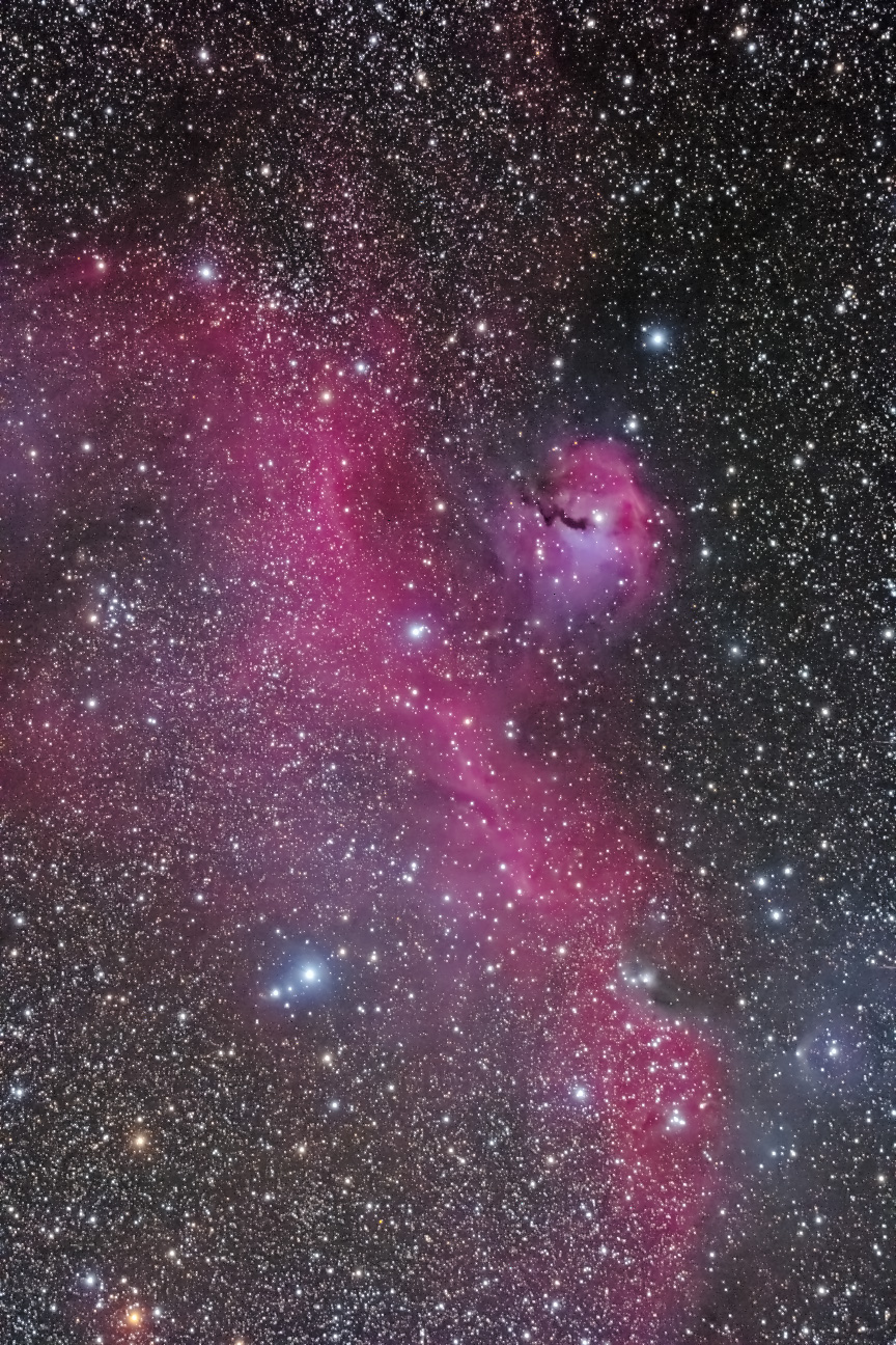 20131130-IC2177-seagull-nebula