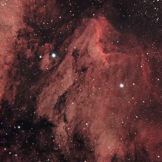 20191104-IC5067-Pelican-nebula
