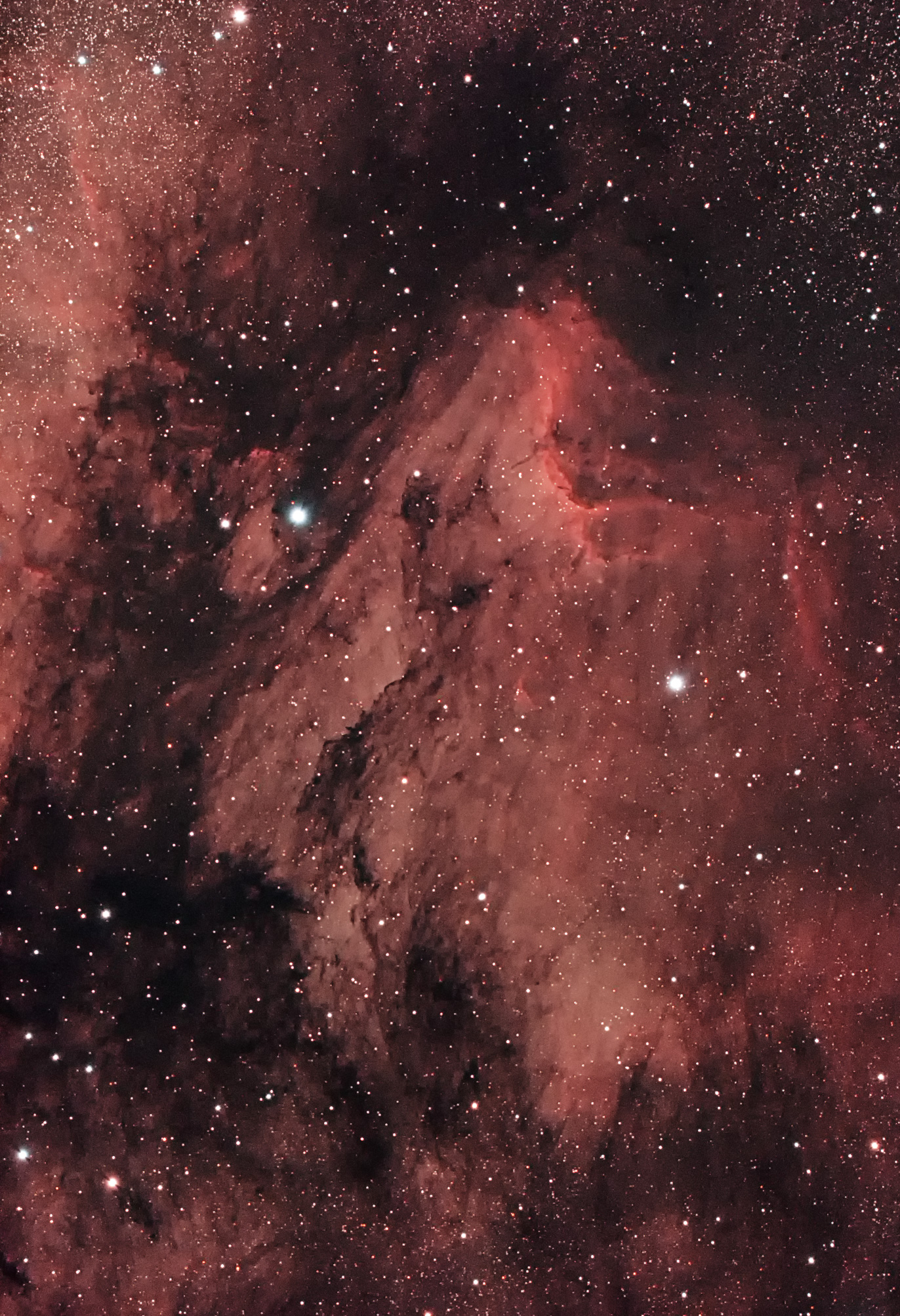 20191104-IC5067-Pelican-nebula