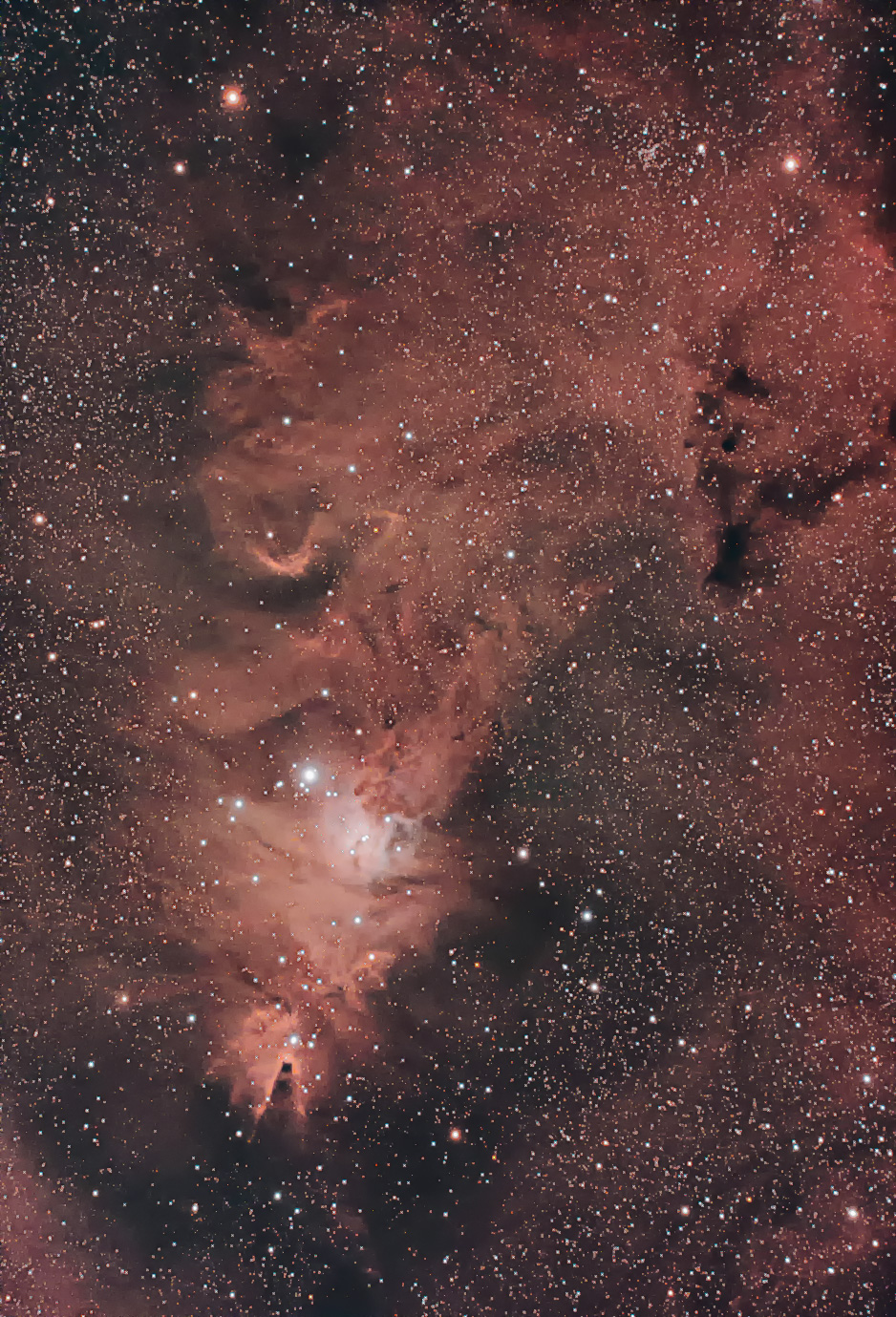 20191108-NGC2264-Christmas-Tree-Cluster