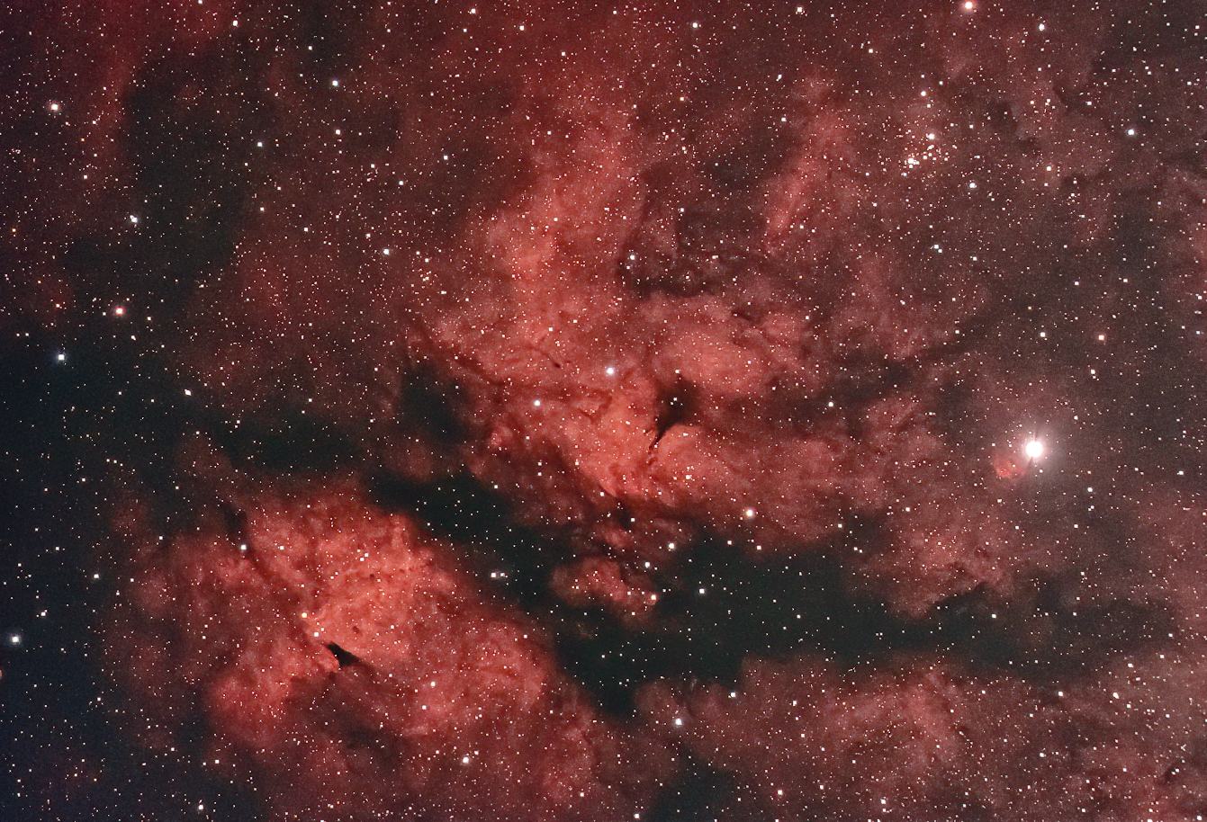 サドル付近の散光星雲