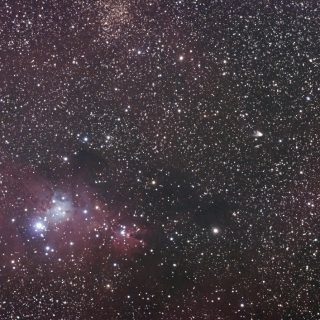 NGC2264 クリスマスツリー星団
