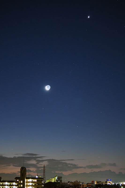 2011/1/31朝の月と金星