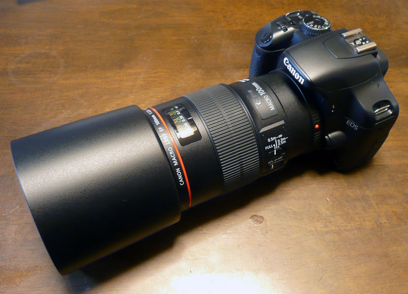 Canon EF100F2.8Lマクロ IS USM-