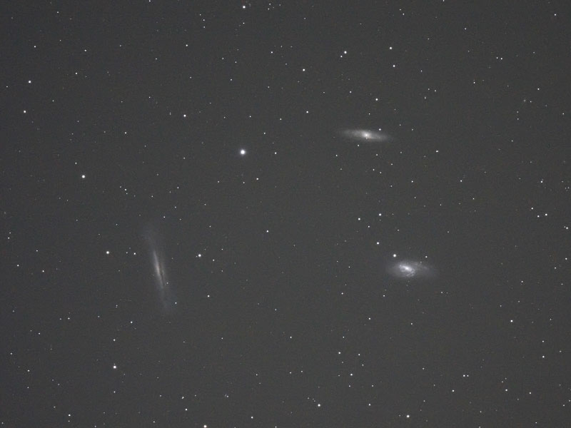 M65, M66, NGC3628 