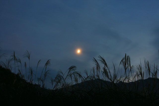 薄雲の中を沈んでいく月を見ながら、薄明終了を待ちます