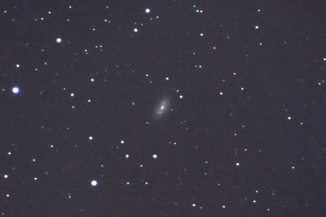 しし座の系外銀河NGC2903