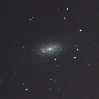 系外銀河NGC2903
