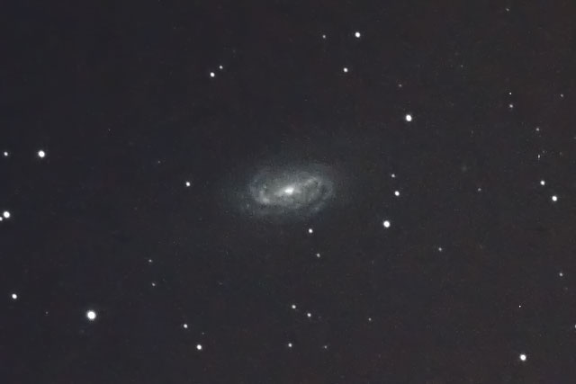 系外銀河NGC2903