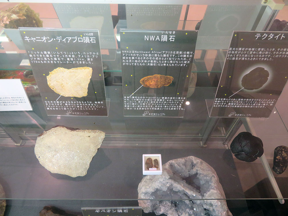 隕石展示