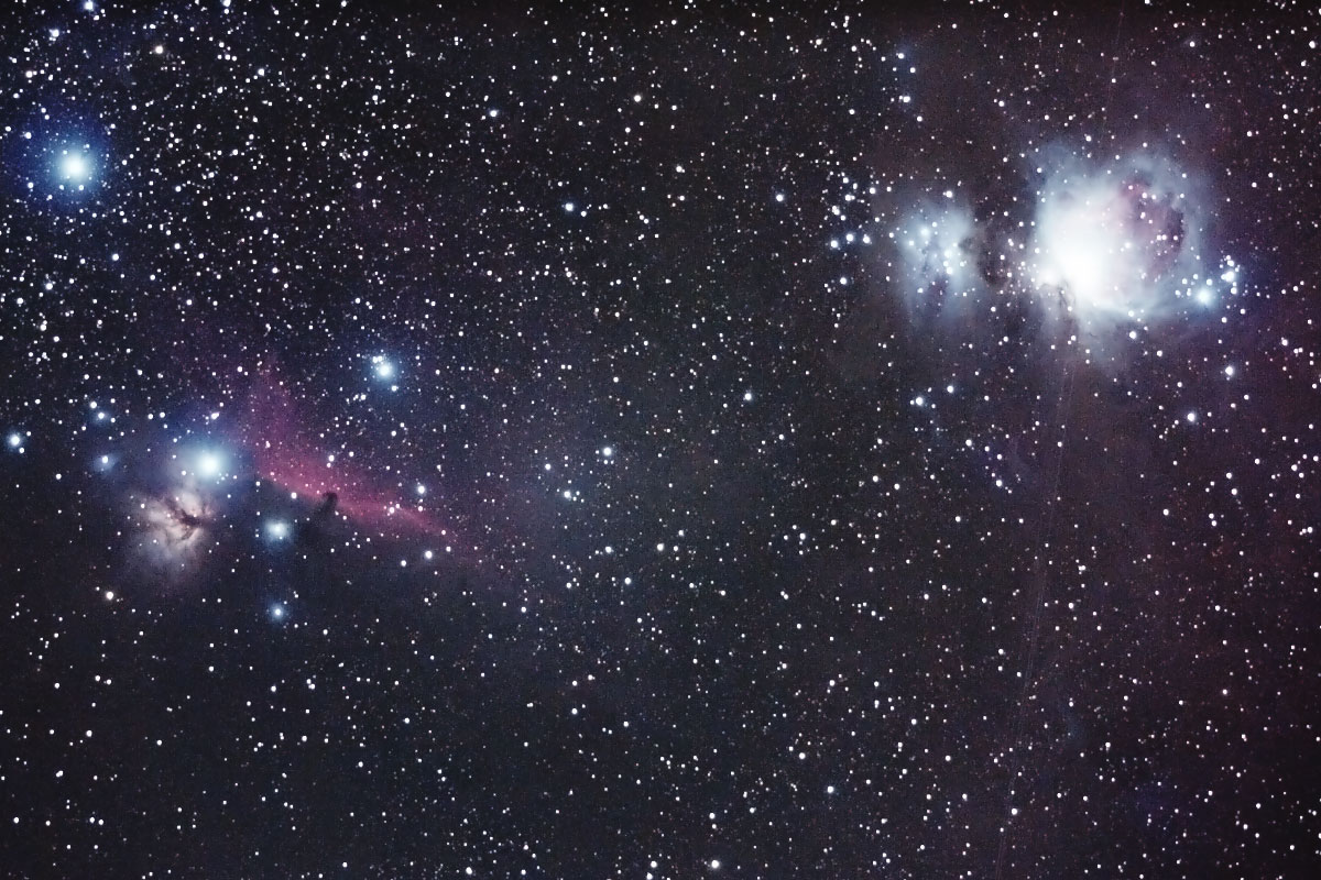 M42、馬頭星雲、燃える木