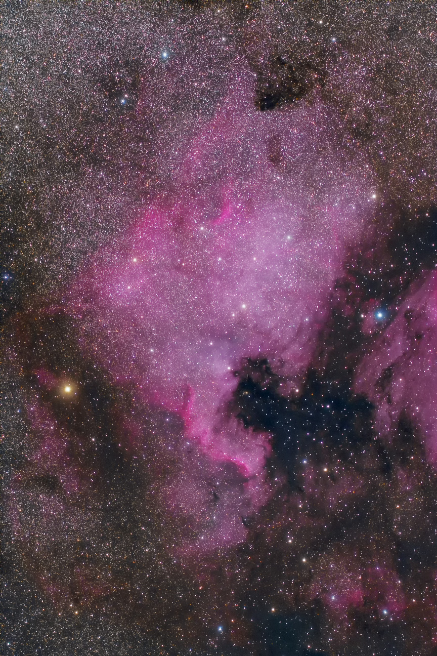 NGC7000 北アメリカ星雲
