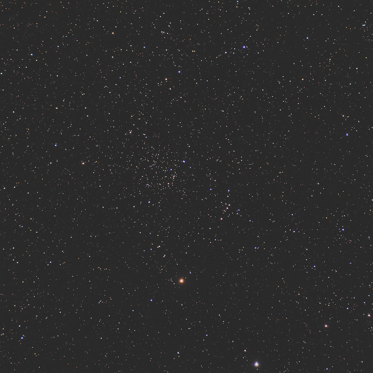 散開星団 NGC1807, NGC1817