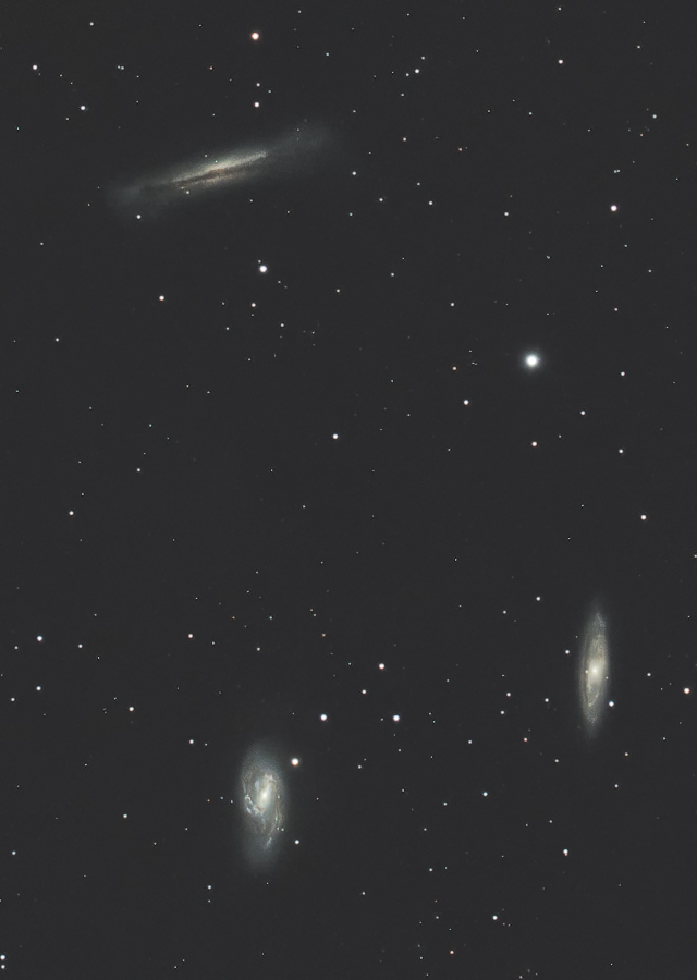 しし座の系外銀河トリオ（M65・M66・NGC3628）