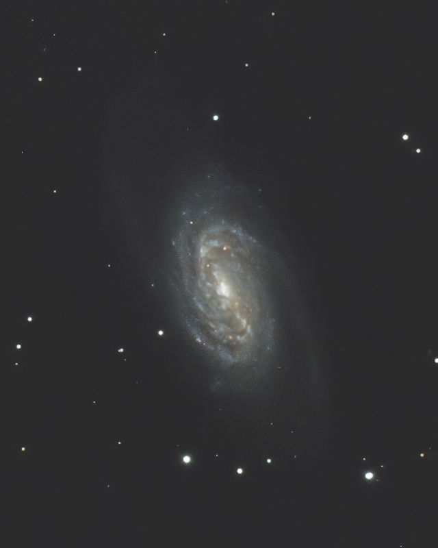 系外銀河 NGC2903