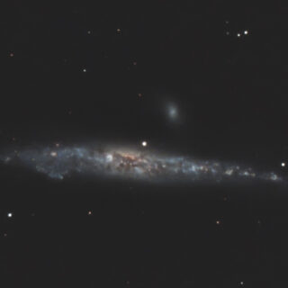 NGC4631 クジラ銀河