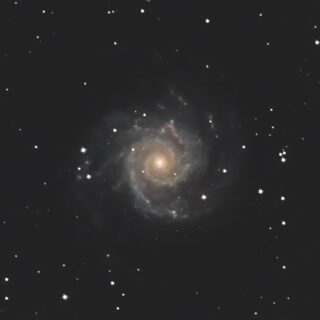 系外銀河 M74