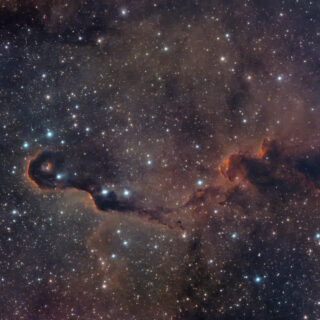 vdB142 象の鼻星雲