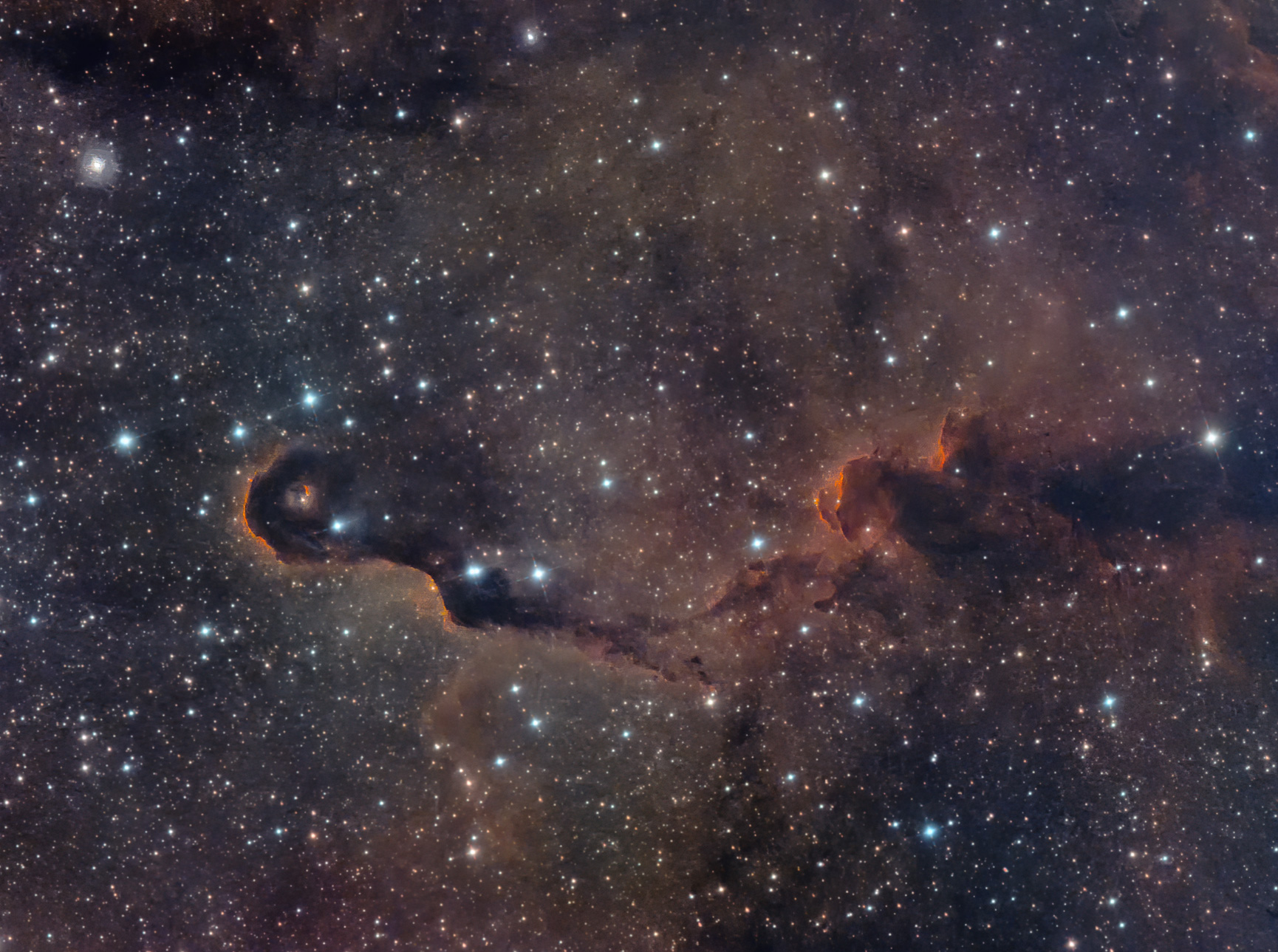 vdB142 象の鼻星雲