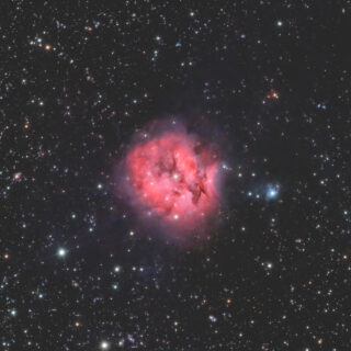 IC5146 まゆ星雲
