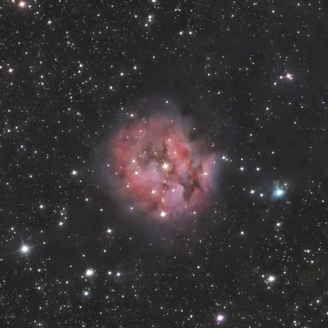 IC5146 まゆ星雲　