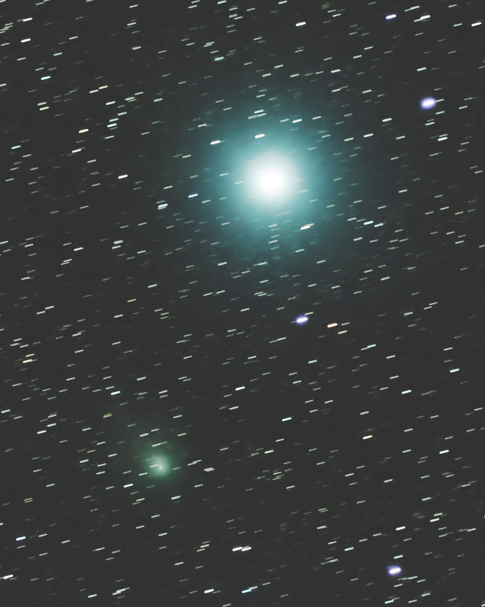 2023/12/7 12P Pons-Brooks 彗星とベガ