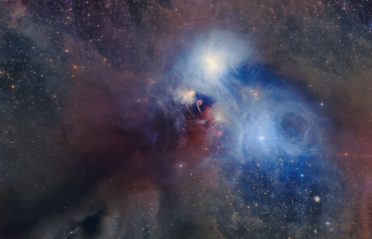 NGC6729(TASC-onリコリモ)